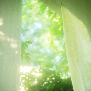 女人被添荫蒂洗澡视频
