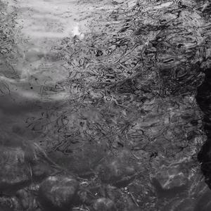 女人被添荫蒂洗澡视频
