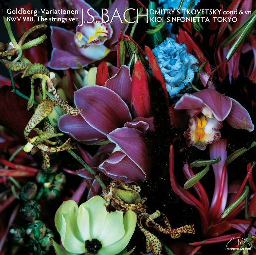 女人被添荫蒂洗澡视频
